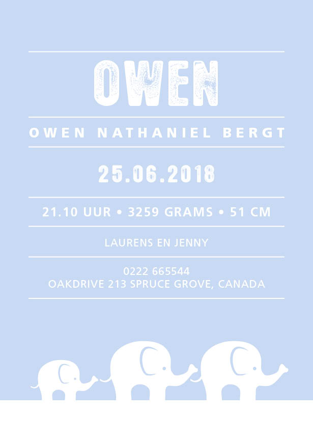 Owen Baby Blue